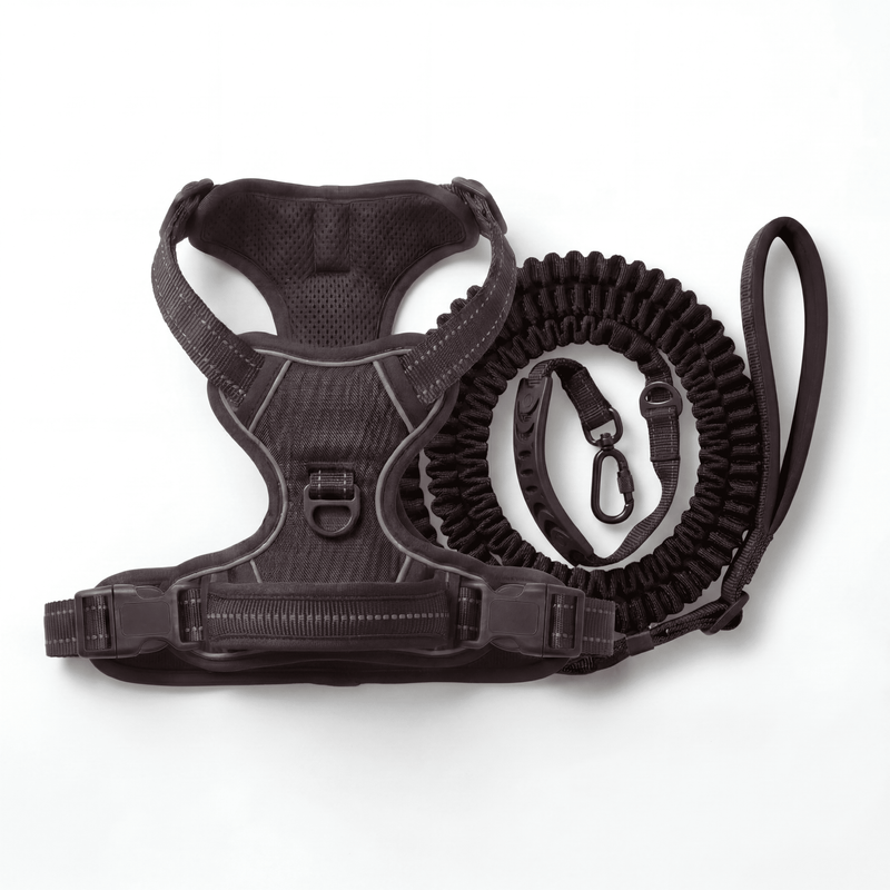 Dog Harness