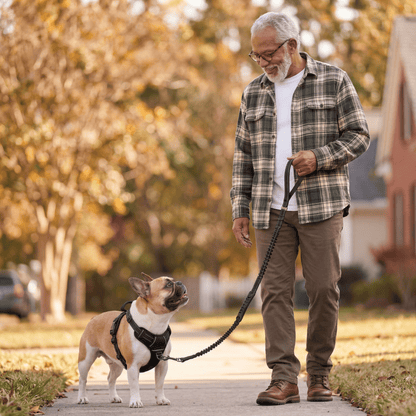 SteadyWalk No-Pull Harness Set