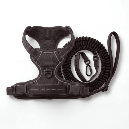 SteadyWalk No-Pull Harness Set