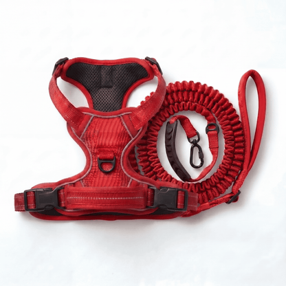 SteadyWalk No-Pull Harness Set