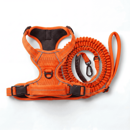 SteadyWalk No-Pull Harness Set