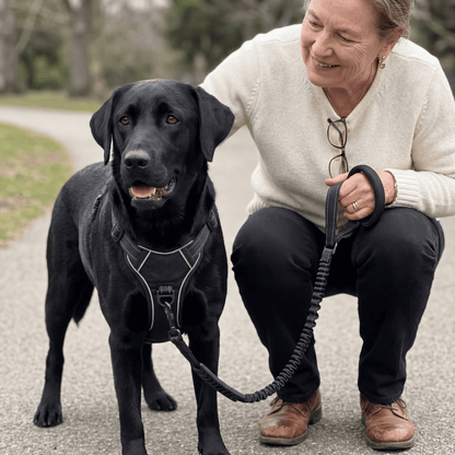 SteadyWalk No-Pull Harness Set