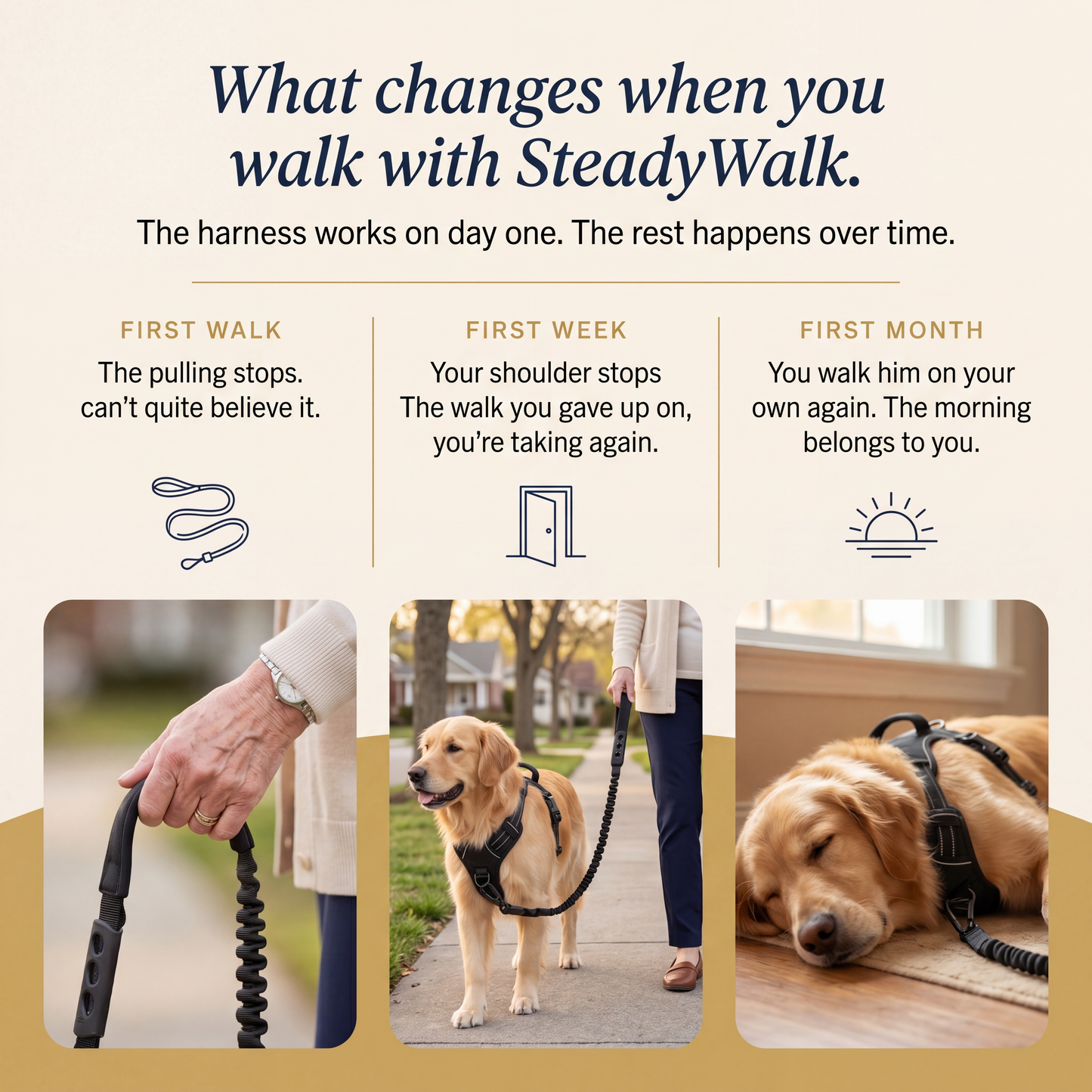SteadyWalk No-Pull Harness Set