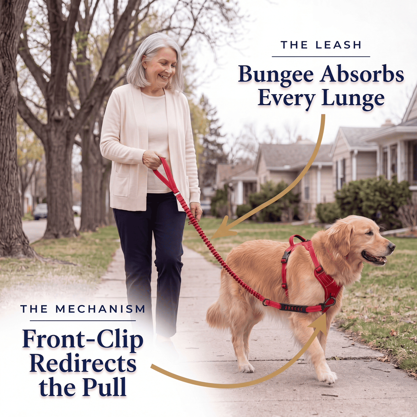 SteadyWalk No-Pull Harness Set